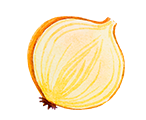 Zwiebel