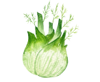 Fenchel